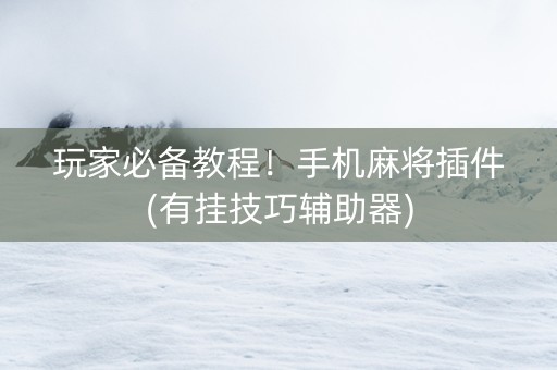 玩家必备教程！手机麻将插件(有挂技巧辅助器)
