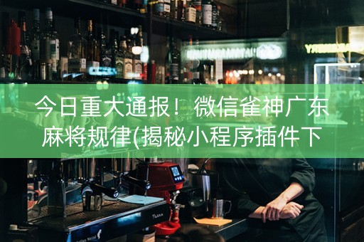 今日重大通报！微信雀神广东麻将规律(揭秘小程序插件下载)