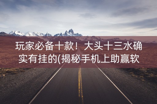 玩家必备十款！大头十三水确实有挂的(揭秘手机上助赢软件)
