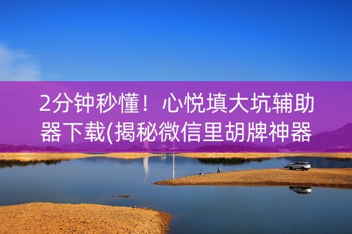 2分钟秒懂！心悦填大坑辅助器下载(揭秘微信里胡牌神器)