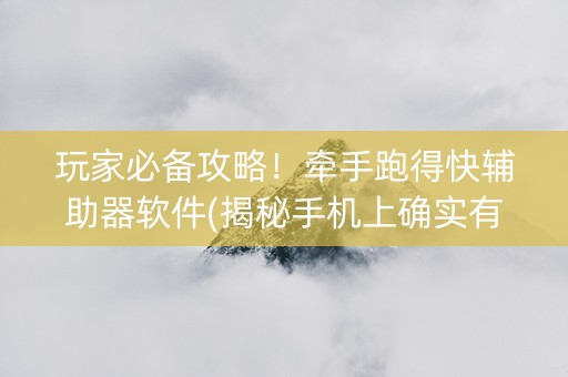 玩家必备攻略！牵手跑得快辅助器软件(揭秘手机上确实有猫腻)