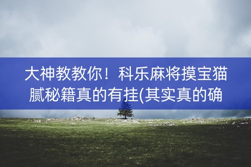 大神教教你！科乐麻将摸宝猫腻秘籍真的有挂(其实真的确实有挂)
