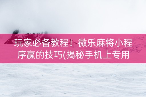 玩家必备教程！微乐麻将小程序赢的技巧(揭秘手机上专用神器)
