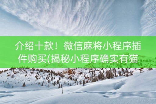 介绍十款！微信麻将小程序插件购买(揭秘小程序确实有猫腻)