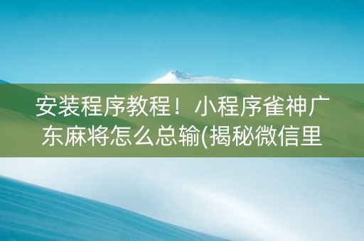 安装程序教程！小程序雀神广东麻将怎么总输(揭秘微信里确实有猫腻)