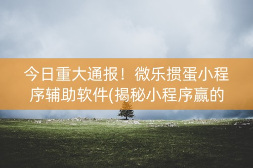 今日重大通报！微乐掼蛋小程序辅助软件(揭秘小程序赢的秘诀)