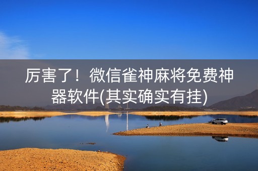 厉害了！微信雀神麻将免费神器软件(其实确实有挂)