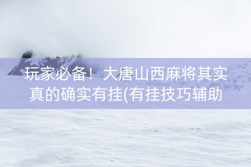 玩家必备！大唐山西麻将其实真的确实有挂(有挂技巧辅助器)