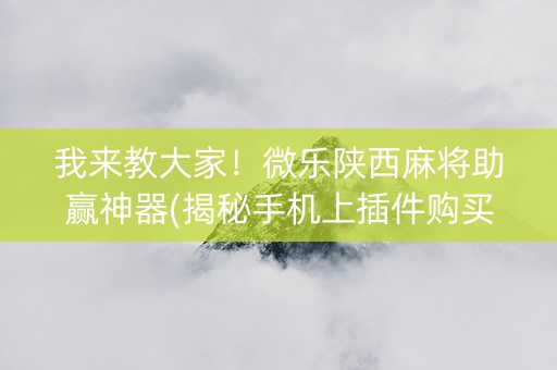 我来教大家！微乐陕西麻将助赢神器(揭秘手机上插件购买)