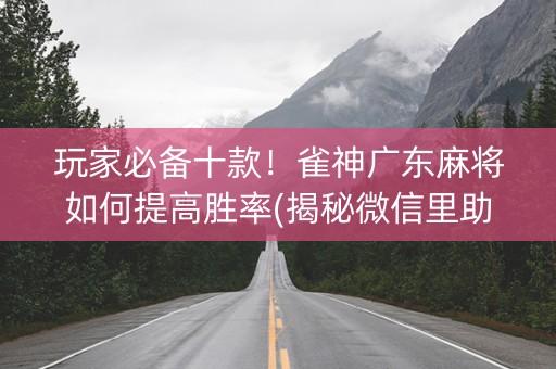 玩家必备十款！雀神广东麻将如何提高胜率(揭秘微信里助攻神器)