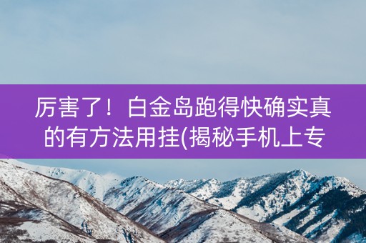厉害了！白金岛跑得快确实真的有方法用挂(揭秘手机上专用神器下载)