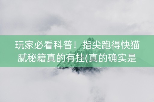 玩家必看科普！指尖跑得快猫腻秘籍真的有挂(真的确实是有挂)
