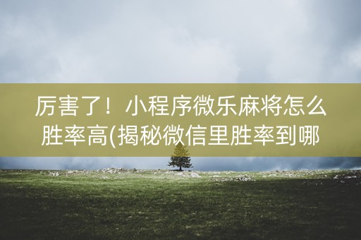 厉害了！小程序微乐麻将怎么胜率高(揭秘微信里胜率到哪调)