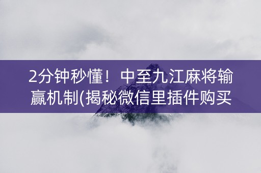 2分钟秒懂！中至九江麻将输赢机制(揭秘微信里插件购买)