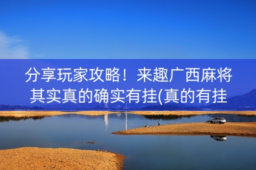 分享玩家攻略！来趣广西麻将其实真的确实有挂(真的有挂)