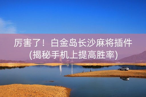 厉害了！白金岛长沙麻将插件(揭秘手机上提高胜率)
