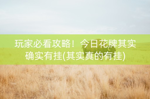 玩家必看攻略！今日花牌其实确实有挂(其实真的有挂)