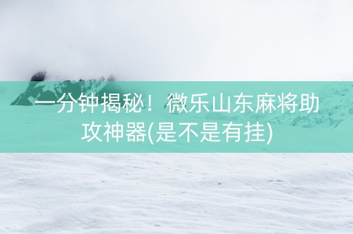 一分钟揭秘！微乐山东麻将助攻神器(是不是有挂)