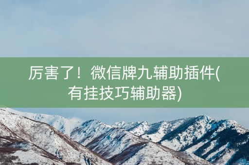 厉害了！微信牌九辅助插件(有挂技巧辅助器)