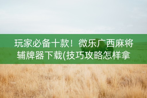 玩家必备十款！微乐广西麻将辅牌器下载(技巧攻略怎样拿好牌)