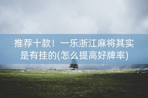 推荐十款！一乐浙江麻将其实是有挂的(怎么提高好牌率)