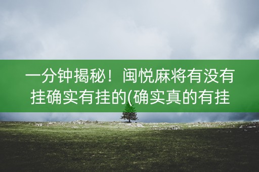 一分钟揭秘！闽悦麻将有没有挂确实有挂的(确实真的有挂)