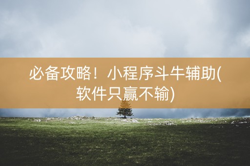 必备攻略！小程序斗牛辅助(软件只赢不输)