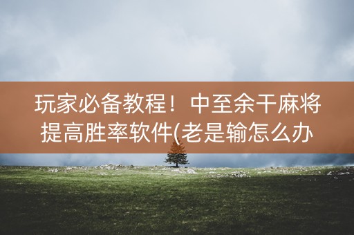 玩家必备教程！中至余干麻将提高胜率软件(老是输怎么办)