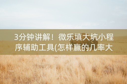 3分钟讲解！微乐填大坑小程序辅助工具(怎样赢的几率大)