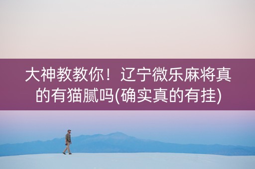 大神教教你！辽宁微乐麻将真的有猫腻吗(确实真的有挂)
