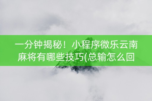 一分钟揭秘！小程序微乐云南麻将有哪些技巧(总输怎么回事)