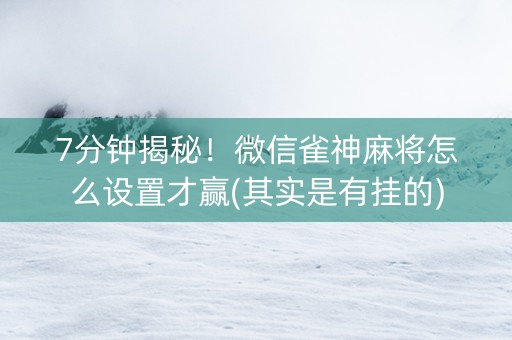 7分钟揭秘！微信雀神麻将怎么设置才赢(其实是有挂的)