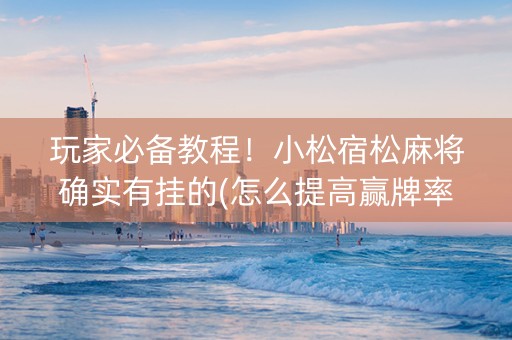 玩家必备教程！小松宿松麻将确实有挂的(怎么提高赢牌率)