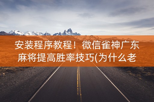 安装程序教程！微信雀神广东麻将提高胜率技巧(为什么老输)