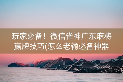 玩家必备！微信雀神广东麻将赢牌技巧(怎么老输必备神器)