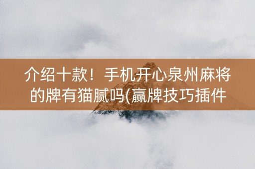 介绍十款！手机开心泉州麻将的牌有猫腻吗(赢牌技巧插件安装)