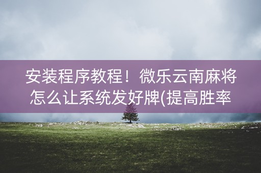 安装程序教程！微乐云南麻将怎么让系统发好牌(提高胜率方法)