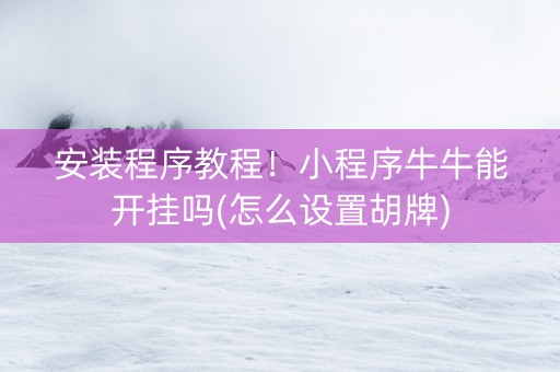 安装程序教程！小程序牛牛能开挂吗(怎么设置胡牌)