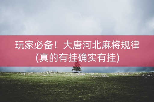 玩家必备！大唐河北麻将规律(真的有挂确实有挂)