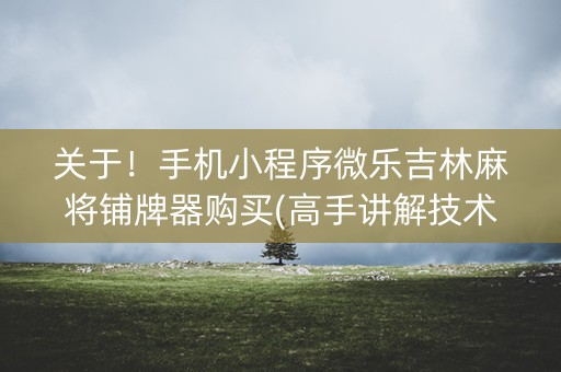 关于！手机小程序微乐吉林麻将铺牌器购买(高手讲解技术)