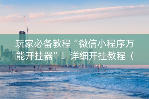 玩家必备教程“微信小程序万能开挂器”！详细开挂教程（确实真的有挂)-抖音