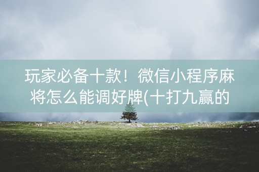 玩家必备十款！微信小程序麻将怎么能调好牌(十打九赢的打法)