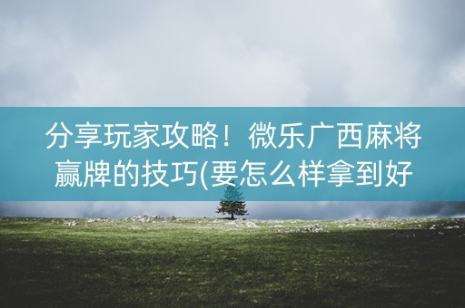 分享玩家攻略！微乐广西麻将赢牌的技巧(要怎么样拿到好牌)