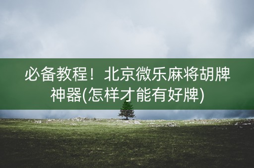 必备教程！北京微乐麻将胡牌神器(怎样才能有好牌)