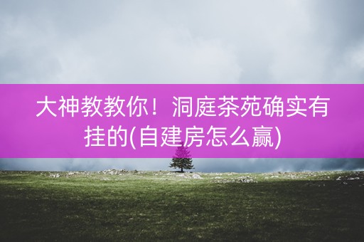 大神教教你！洞庭茶苑确实有挂的(自建房怎么赢)