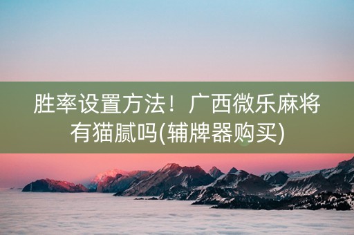 胜率设置方法！广西微乐麻将有猫腻吗(辅牌器购买)