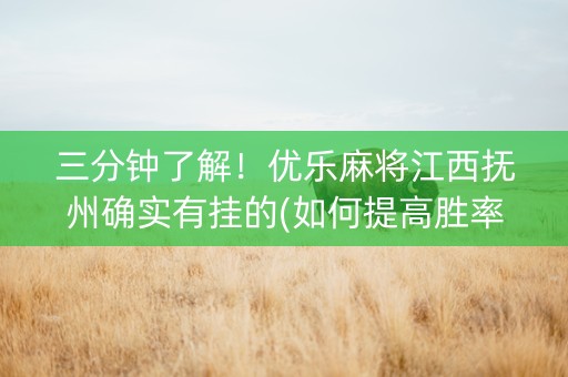 三分钟了解！优乐麻将江西抚州确实有挂的(如何提高胜率)