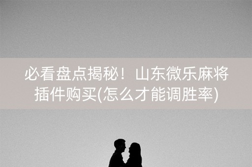 必看盘点揭秘！山东微乐麻将插件购买(怎么才能调胜率)