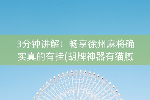 3分钟讲解！畅享徐州麻将确实真的有挂(胡牌神器有猫腻吗)