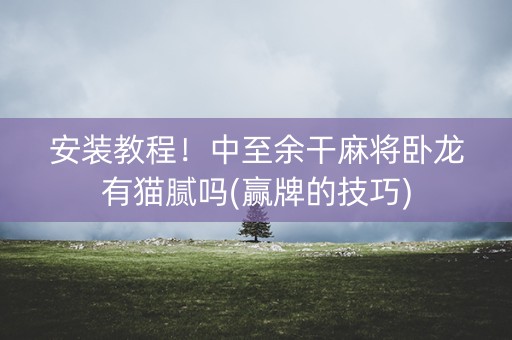安装教程！中至余干麻将卧龙有猫腻吗(赢牌的技巧)